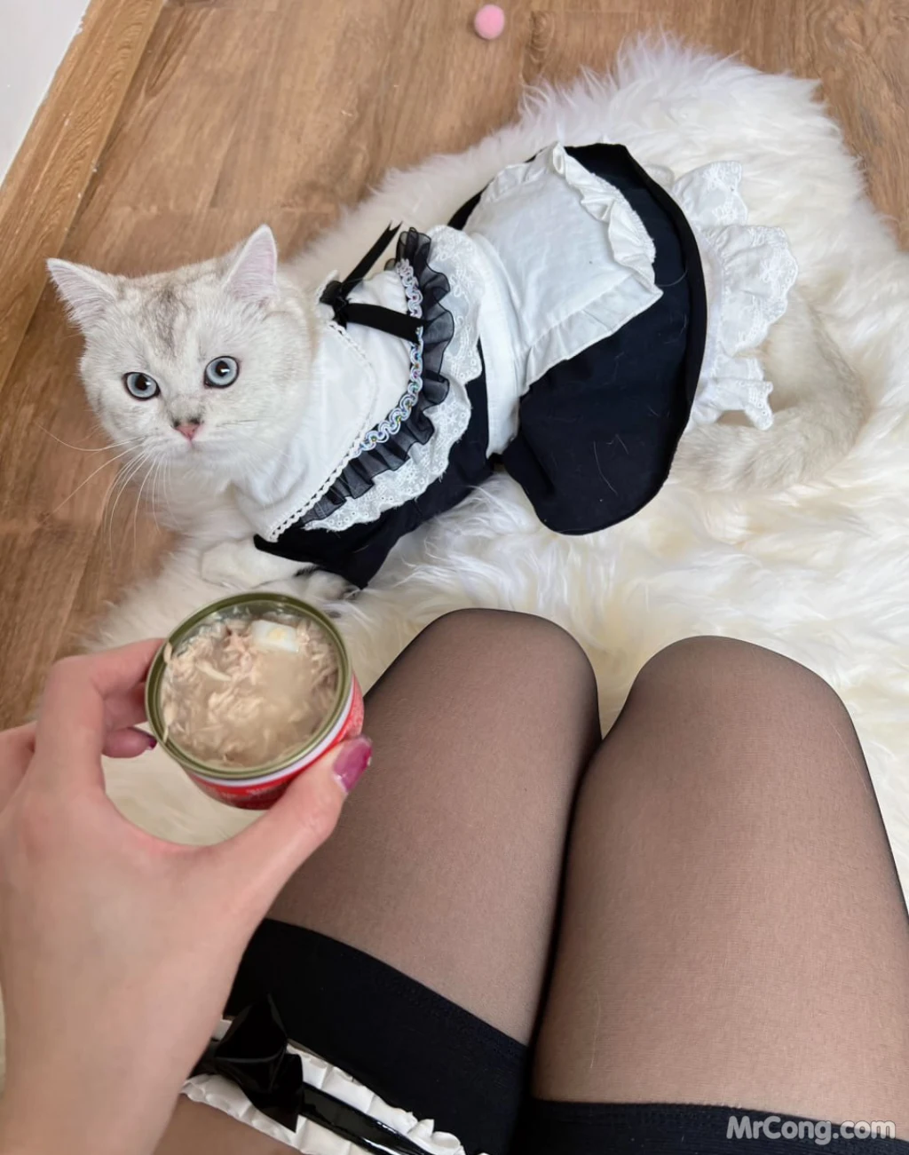 Jiu Shi A Zhu A (就是阿朱啊): 性感唯美写真《陌生土豪》(58 photos + 1 video) – Page 2