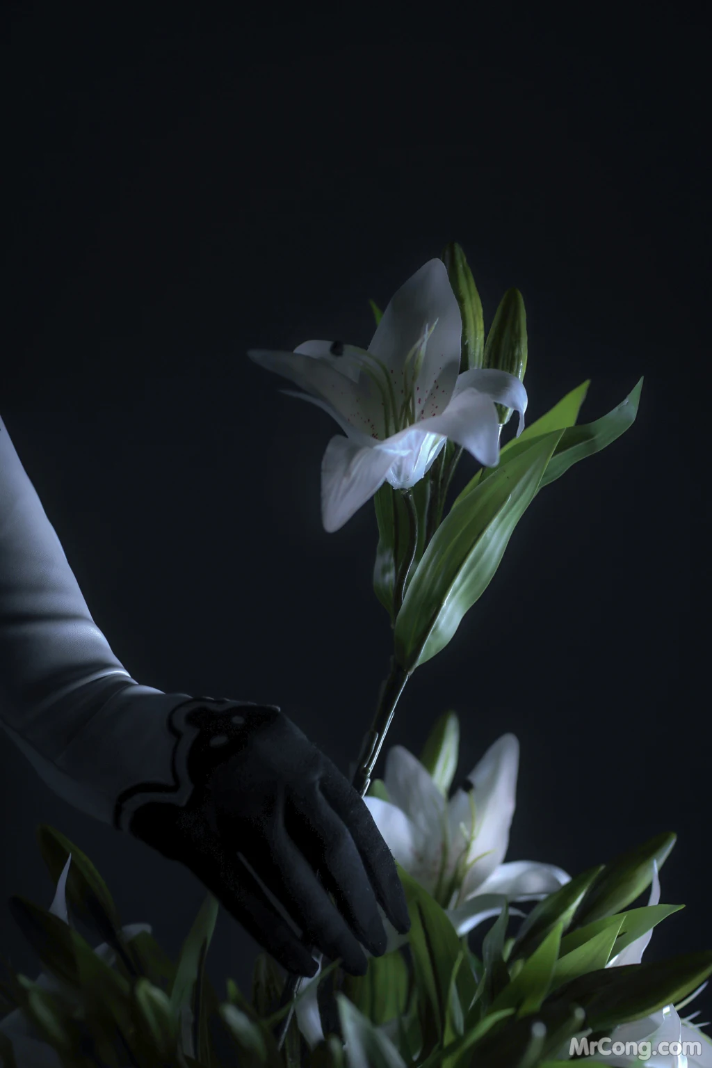 Coser@Sayathefox: 2B Floral (10 photos)插图5
