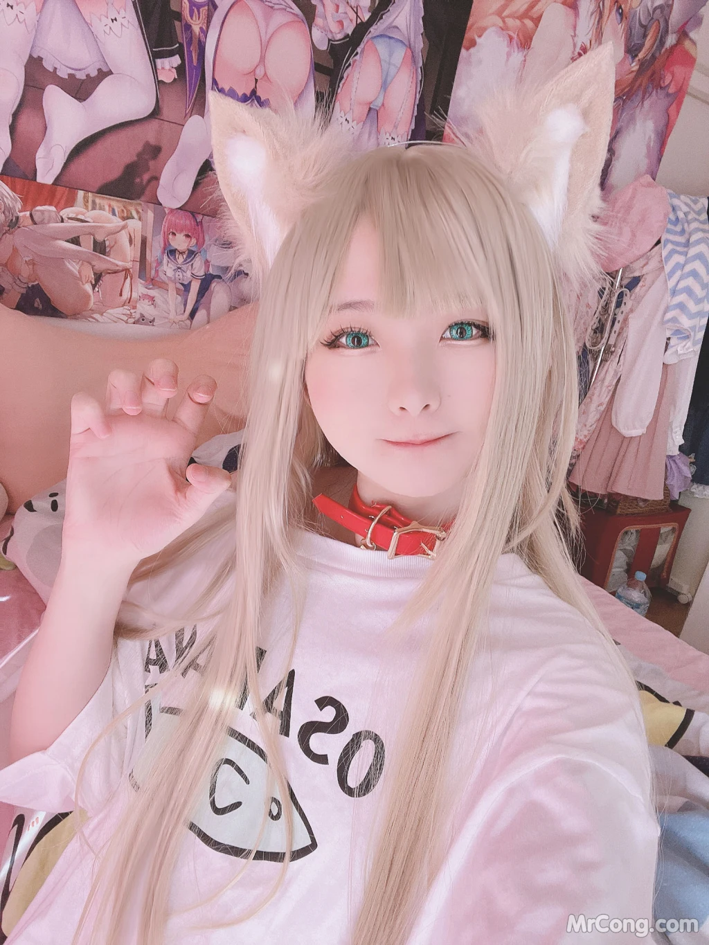 Coser@习呆呆: Kinako Neko (20 photos )