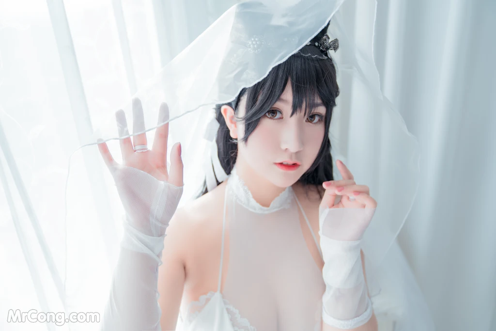 Coser@Mao Jiu Jiang Sakura (猫九酱Sakura): 碧蓝誓约 (95 photos )