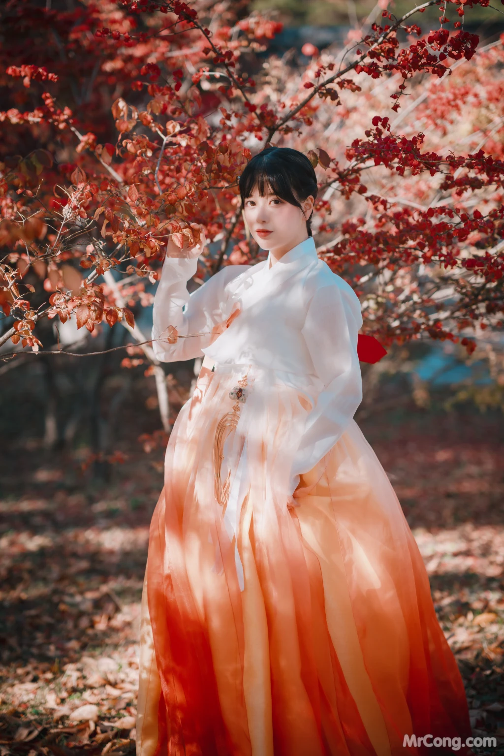 DJAWA Photo - ZziZzi: "Chuseok" (133 photos)