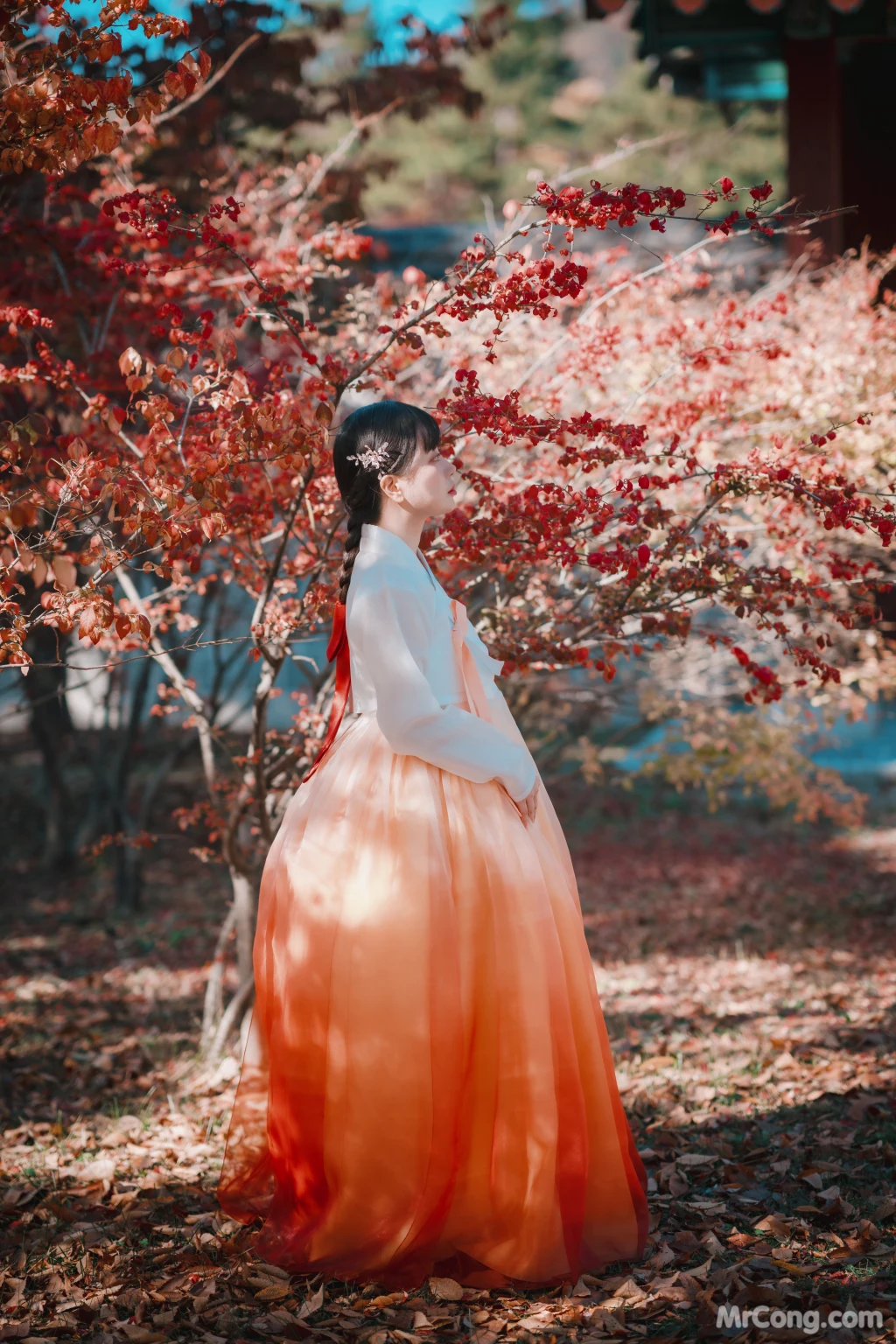 DJAWA Photo - ZziZzi: "Chuseok" (133 photos)