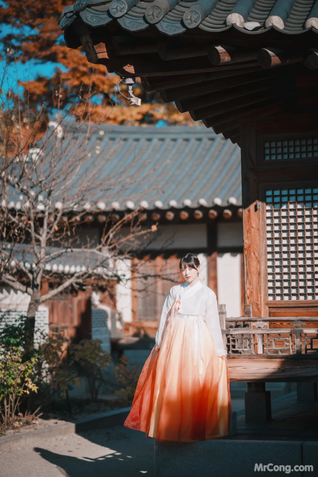 DJAWA Photo - ZziZzi: "Chuseok" (133 photos)