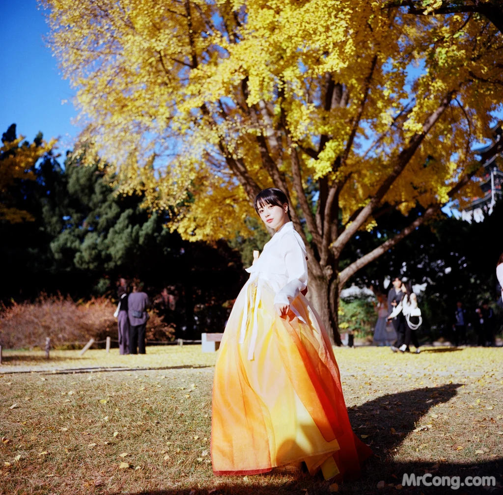 DJAWA Photo - ZziZzi: "Chuseok" (133 photos)