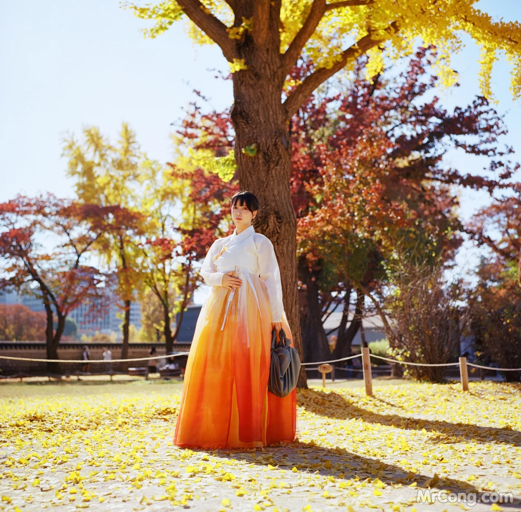 DJAWA Photo - ZziZzi: "Chuseok" (133 photos)