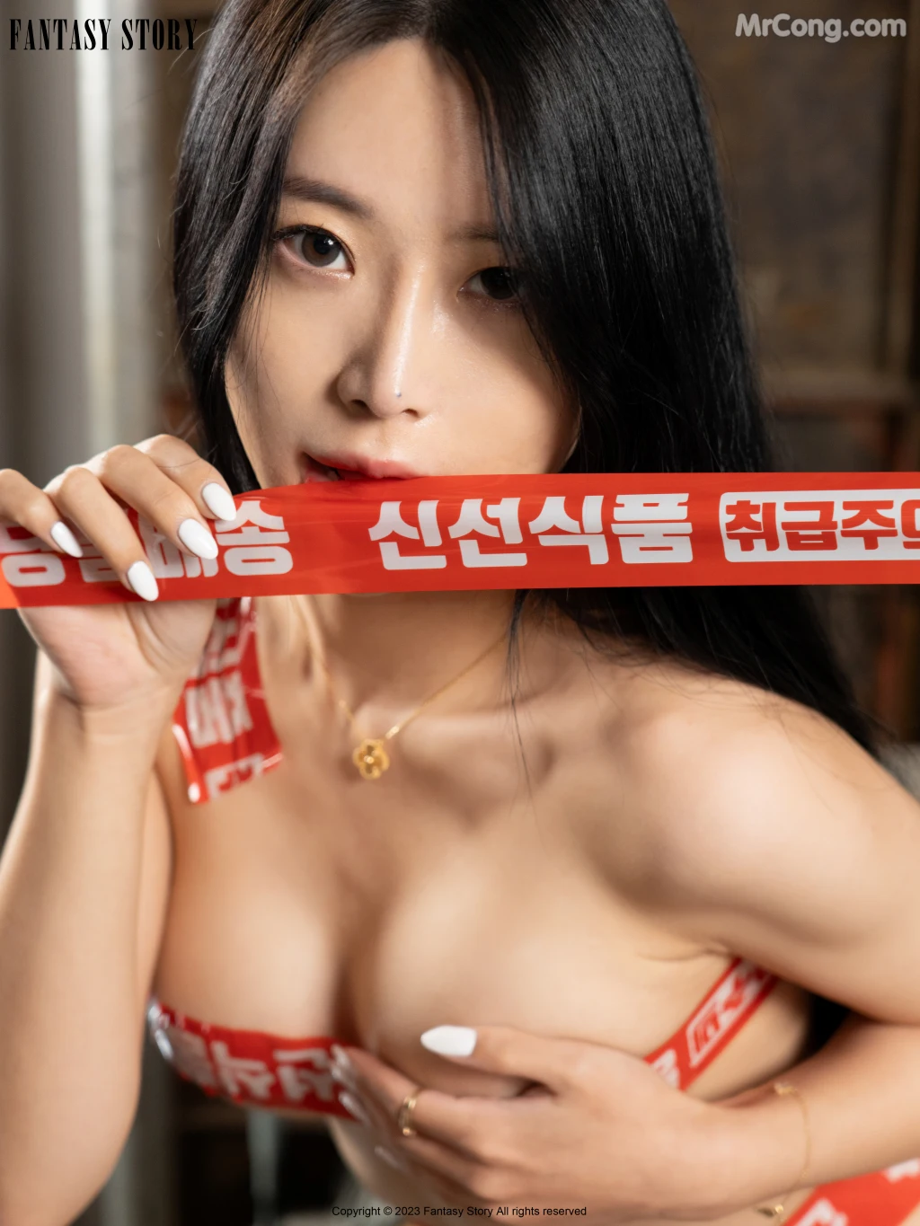 [Fantasy Story] Minjung (민정): Vol.2 Beauty of Packaging (99 photos )